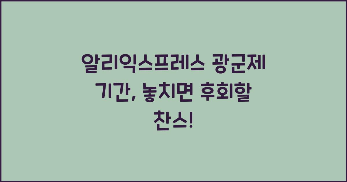 알리익스프레스 광군제 기간