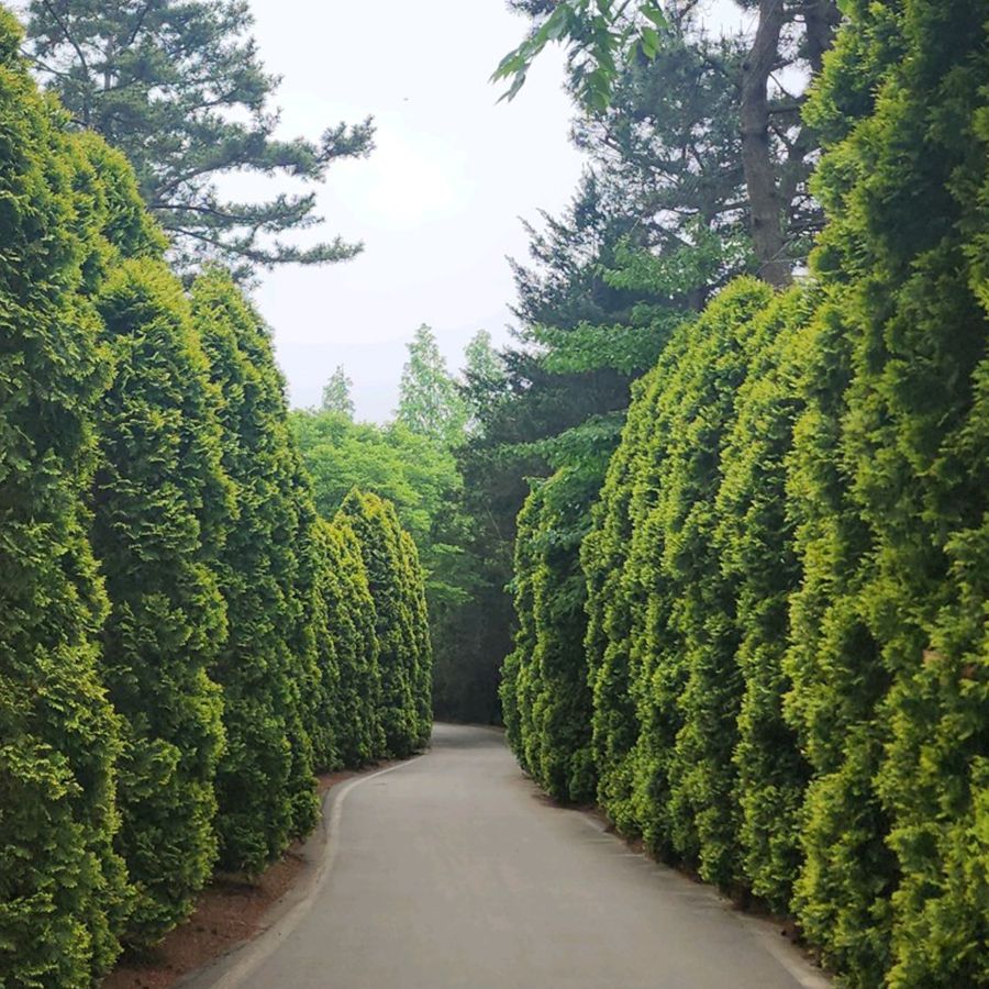 청산수목원