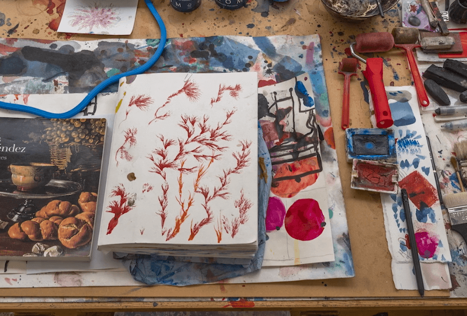 미구엘 바르셀로 개인전