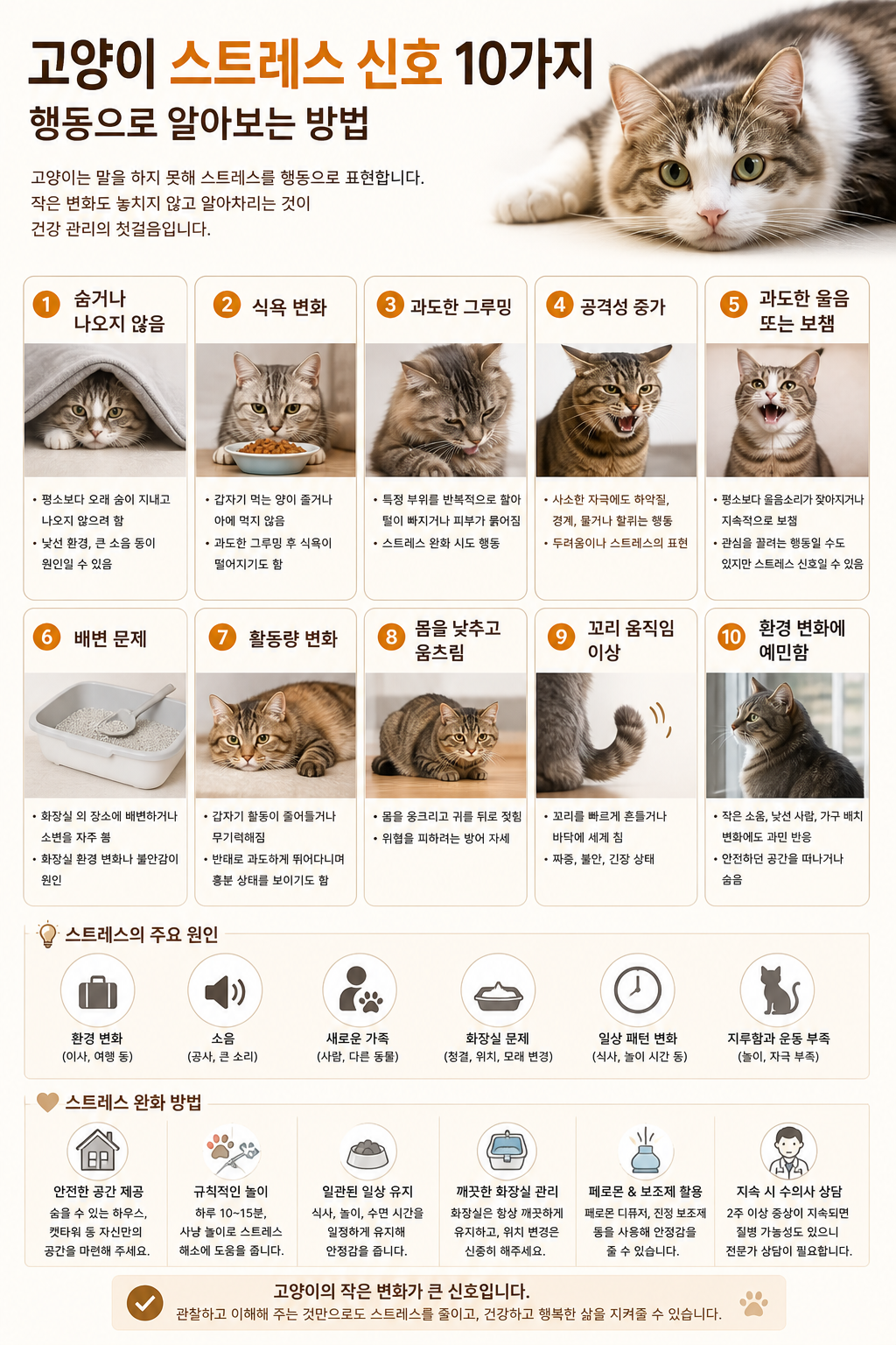 고양이 스트레스 신호 10가지 설명사진