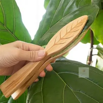 잎닦기 관리 미세먼지제거 광합성도움 우유물사용 주의점_31