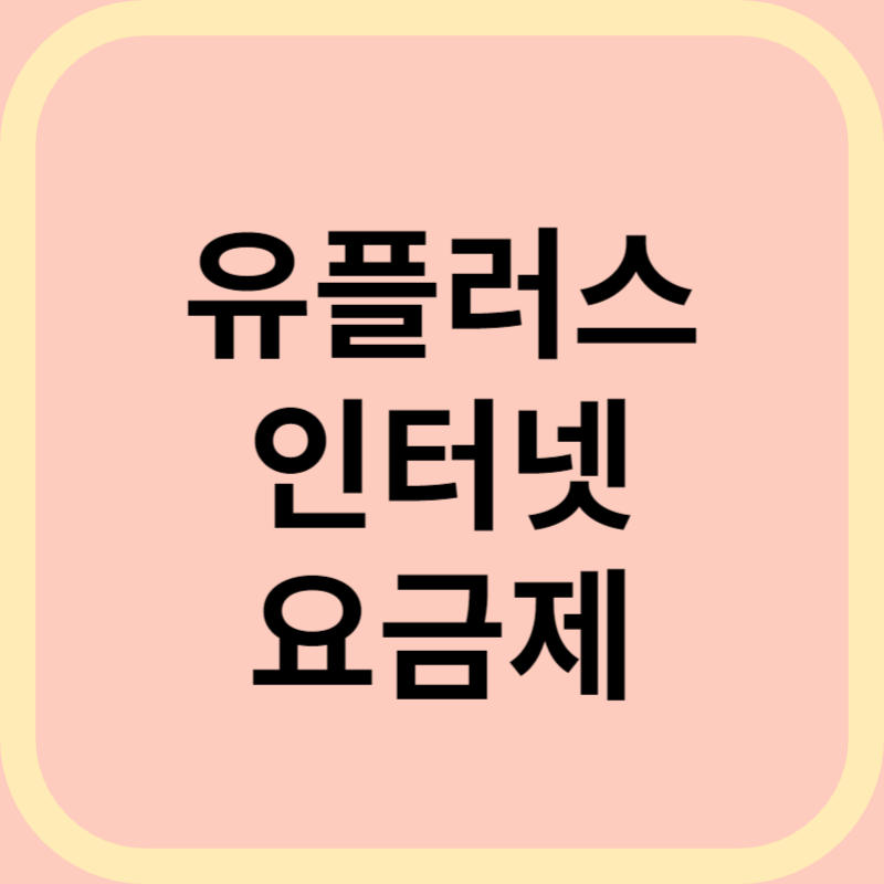 유플러스 인터넷 요금제