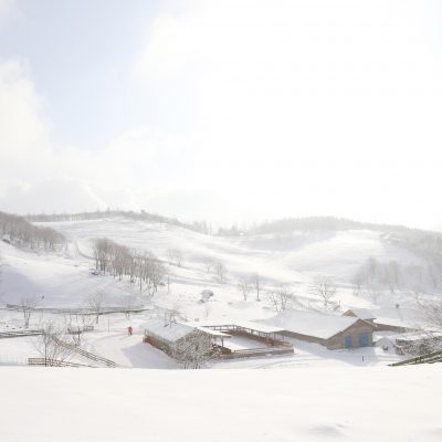 강원도 겨울 트레킹 추천 BEST 5 : 설경 걷기 좋은 길