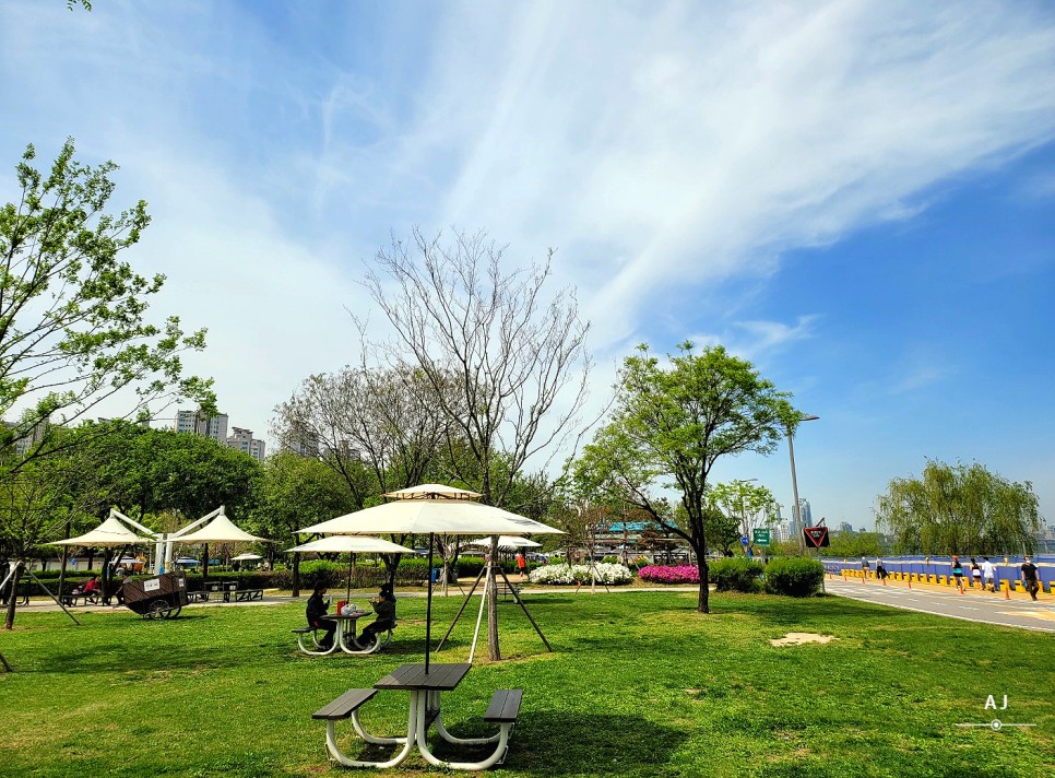 피크닉 즐기기 좋은 공원