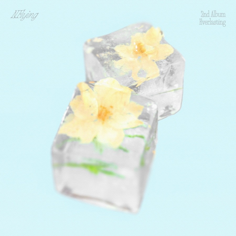 엔플라잉 만년설 뮤비 사진