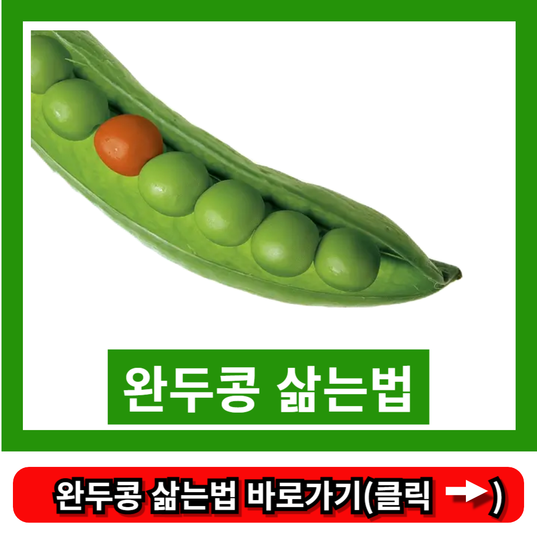완두콩 삶는법