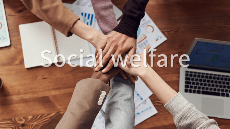 사회복지정책 역할 분담