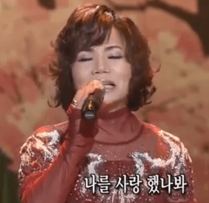 문정선 꽃 이야기