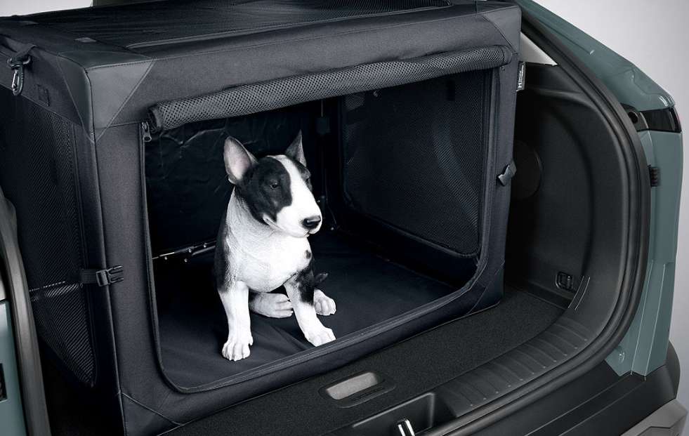 코나 하이브리드