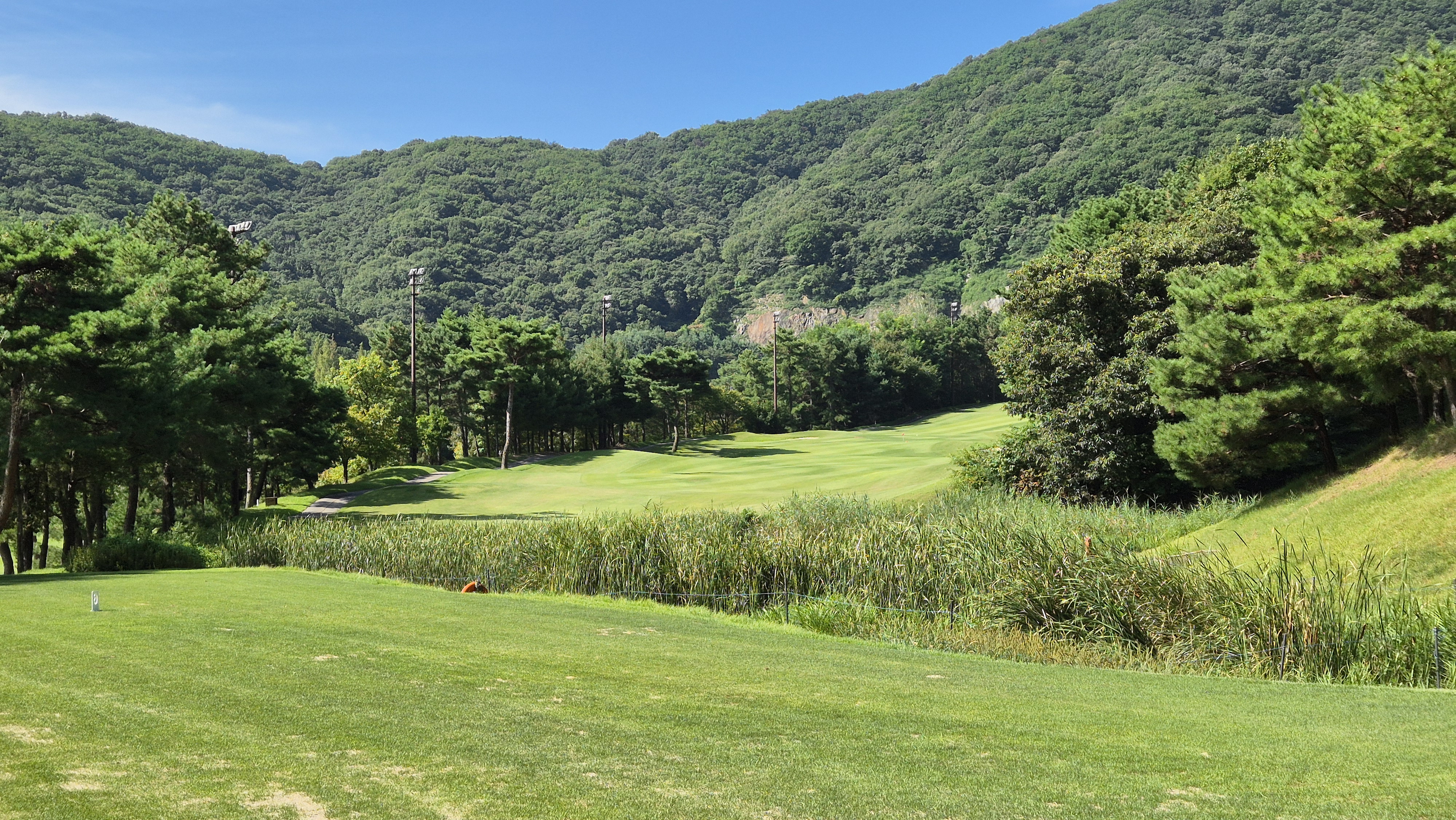 골프존카운티 천안 코스 사진 및 공략 정보