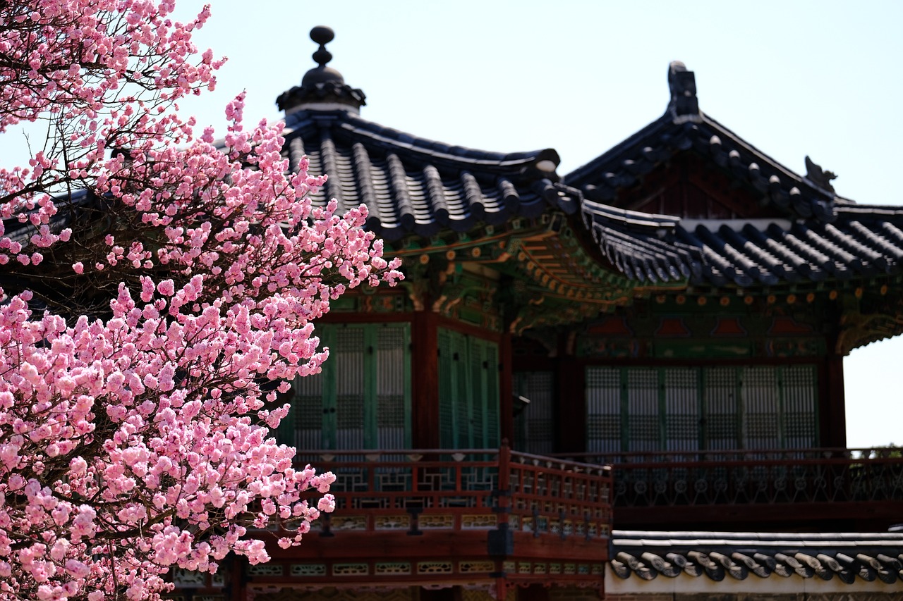 창덕궁 먹거리, 볼거리 사진