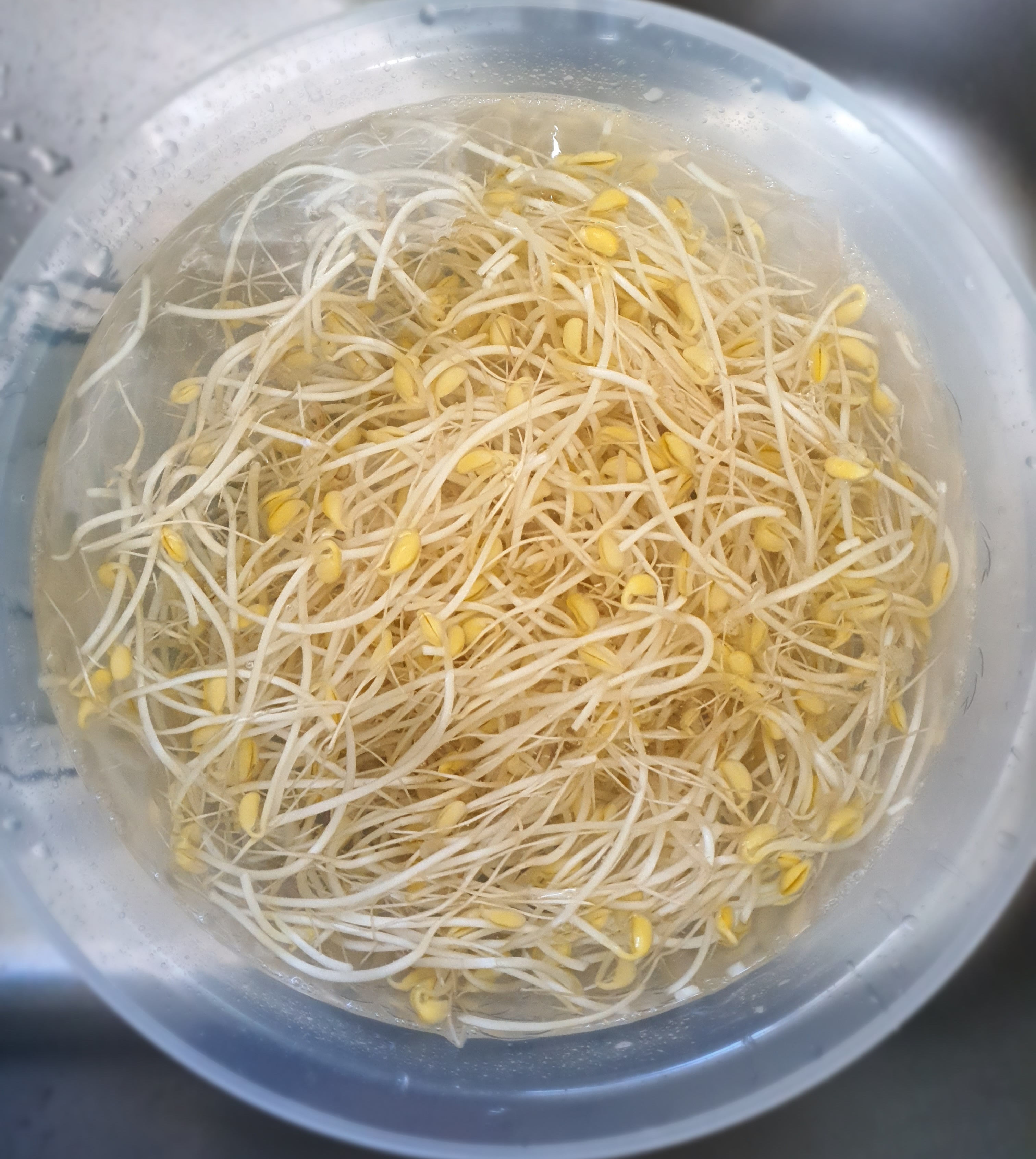 세척이-중요합니다.