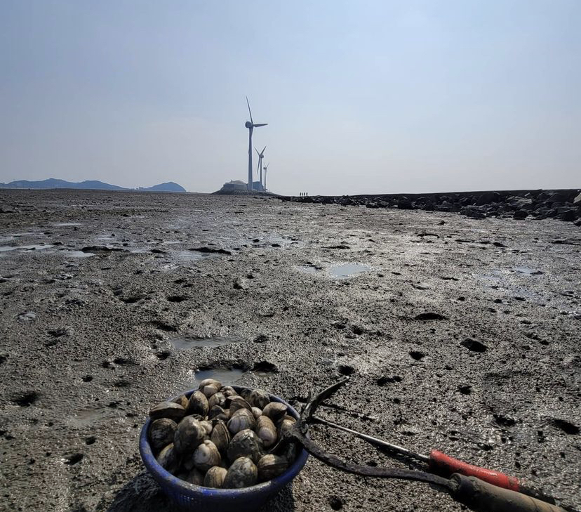 전현무 나혼자 산다 탄도항 일몰