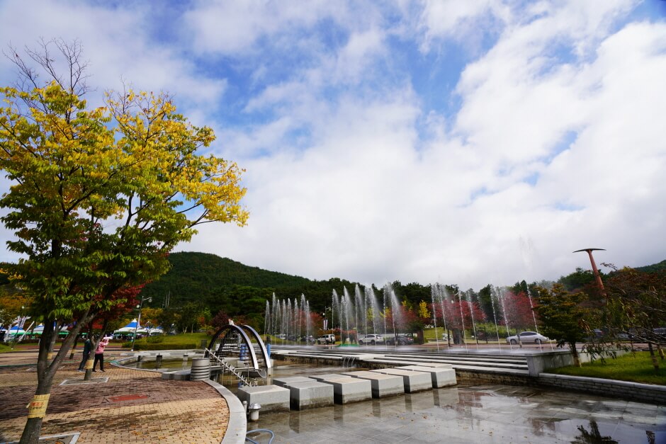 대구 가볼만한 단풍 여행은 어디일까? 대구 단풍 여행 총정리!