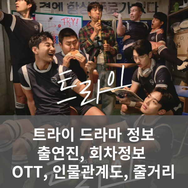 트라이 드라마 정보