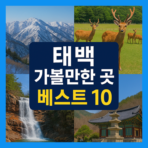 태백 가볼만한곳 베스트10