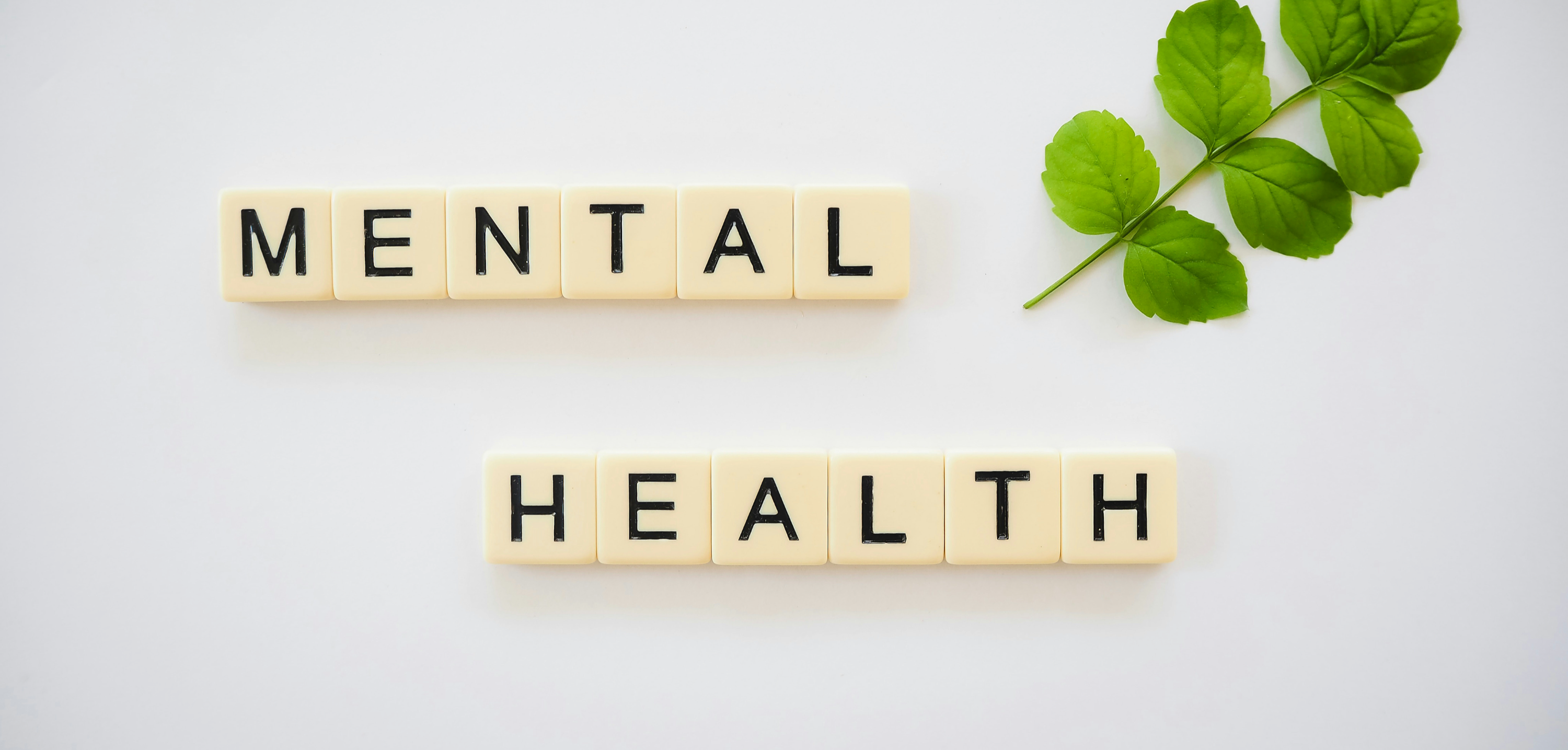 "MENTAL HEALTH"가 적힌 글귀