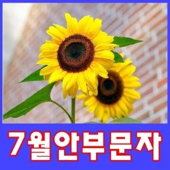 안부 인사말 모음 예시 문자_13