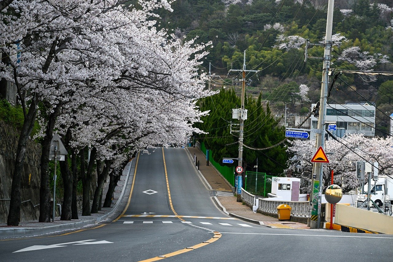 부산 마을 도로
