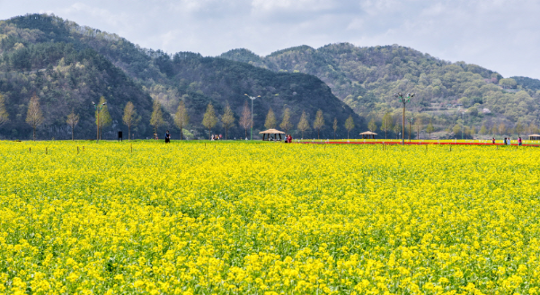 4월 부산 근교 봄축제 TOP 05 데이트 가족나들이 가볼만한곳