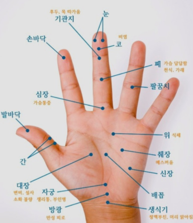 손바닥지압