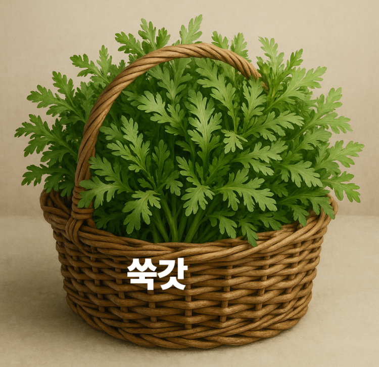 향긋한 쌉싸름함 칼슘 식이섬유 풍부 피부탄력 쑥갓 효능 영양성분