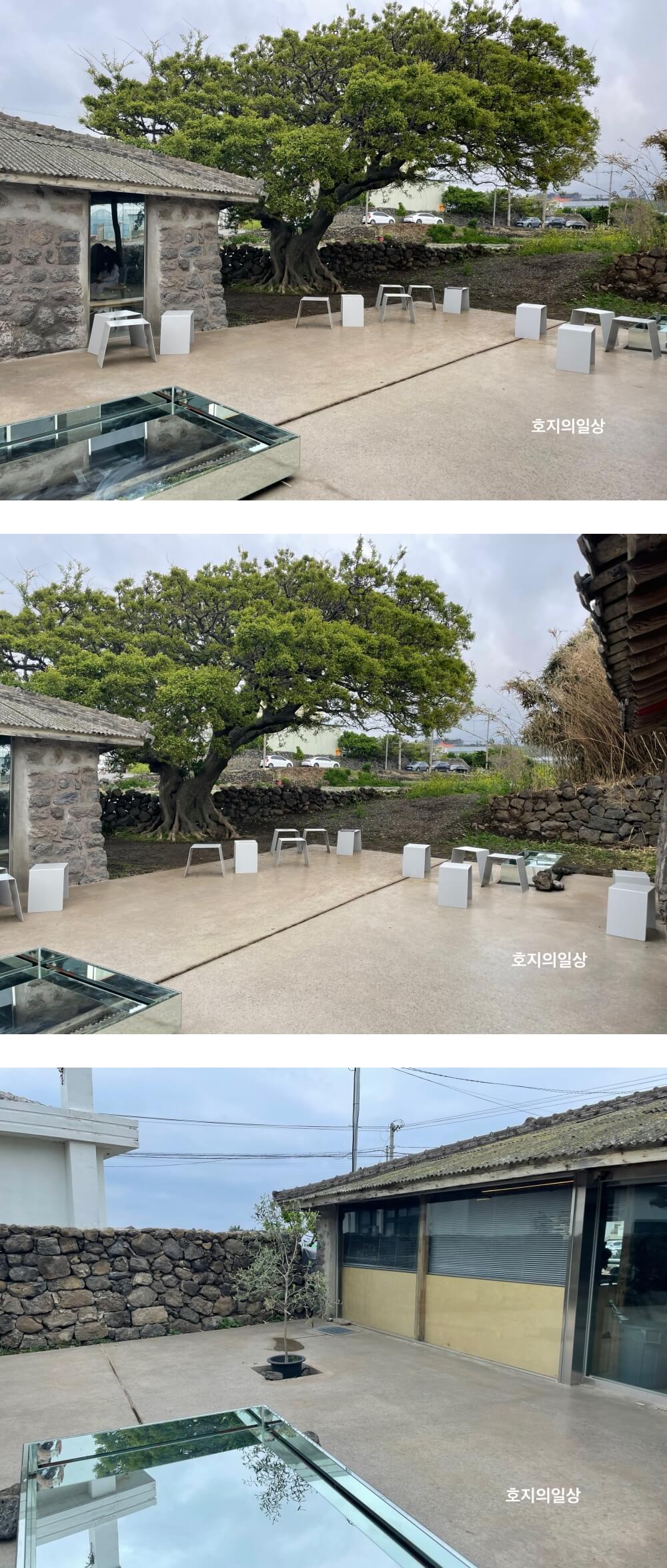 애월 카페 맛집 커피냅로스터스 제주 - 마당 좌석