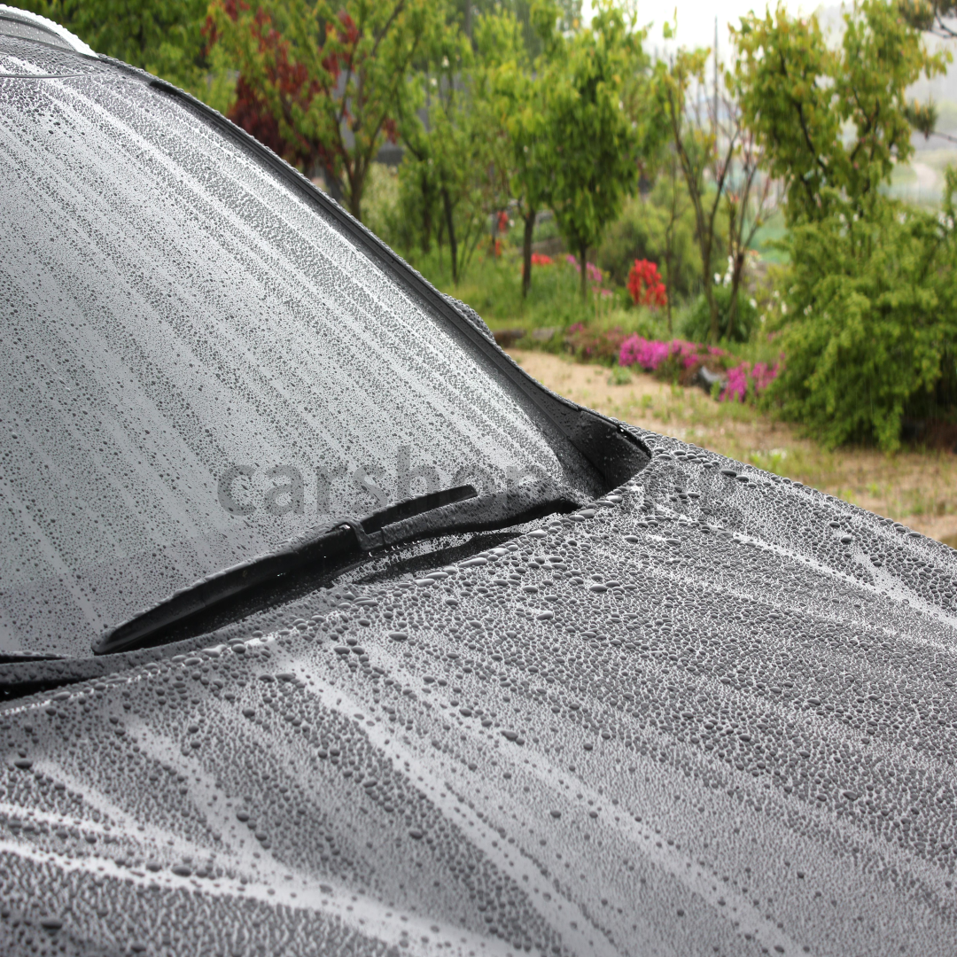 자동차 송진 제거방법