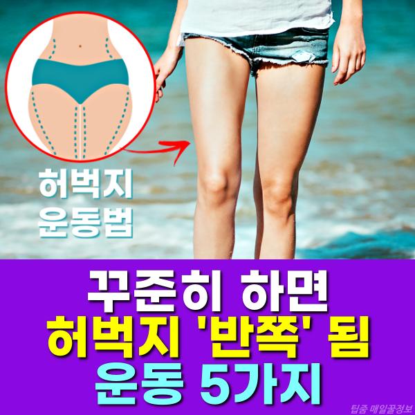 꾸준히하면 허벅지 반쪽됨 운동 5가지, 허벅지 살빼는 운동, 팁줌