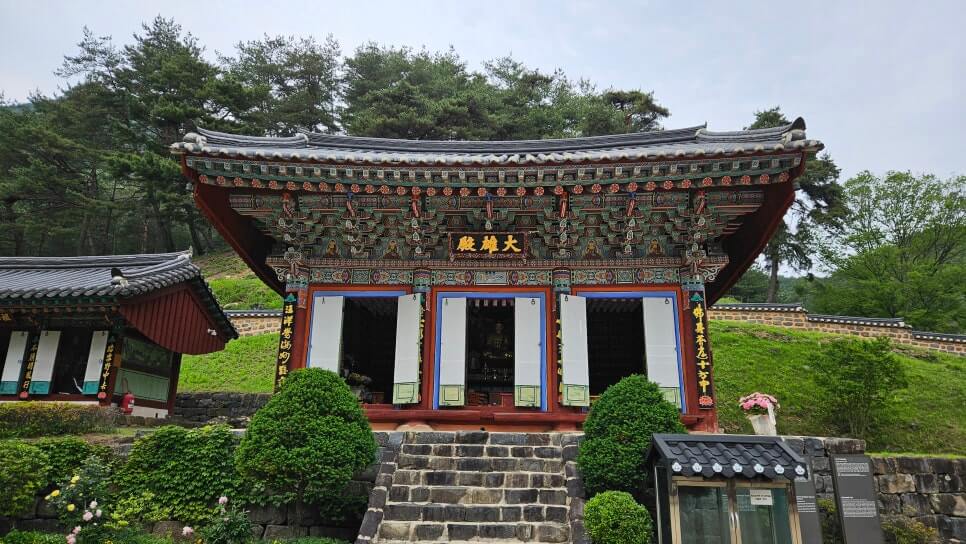 금산 보석사 : 1,100년 은행나무와 전나무 숲길이 주는 위로