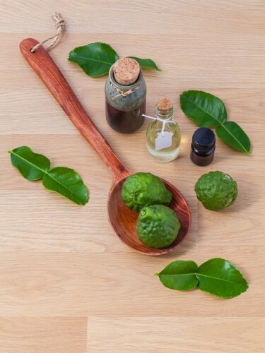 바질 효능1