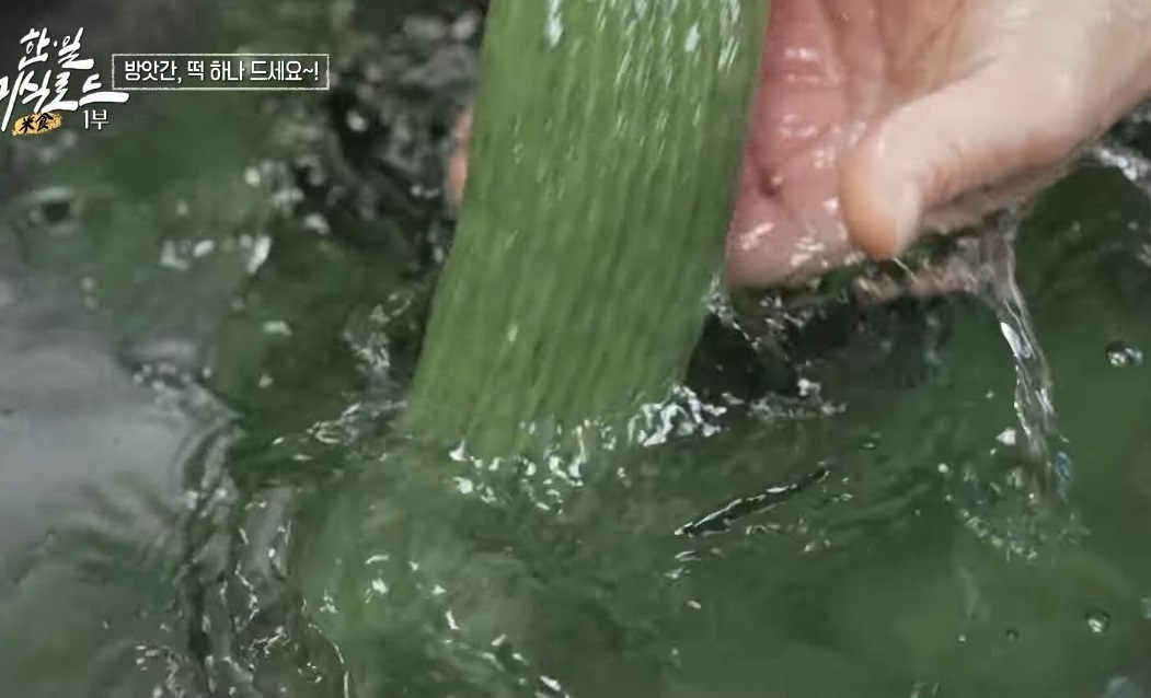 극한직업-양구-송편-수리취인절미