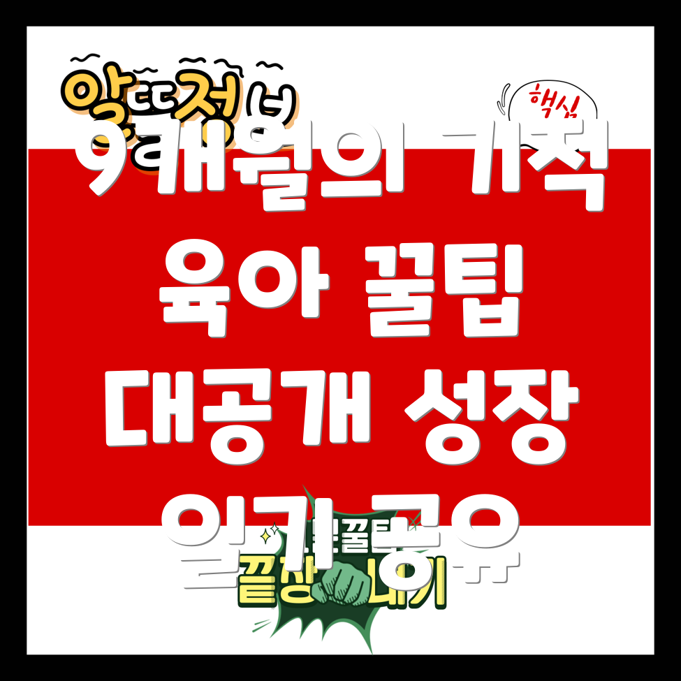 9개월 아기 성장기록