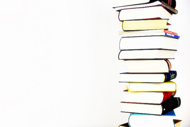 2024년 개정 교육과정 초등 중등 고등 알아보기