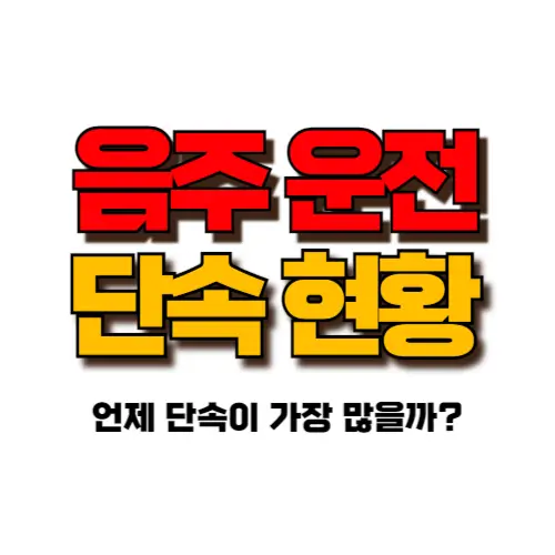 음주운전 단속 현황 썸네일