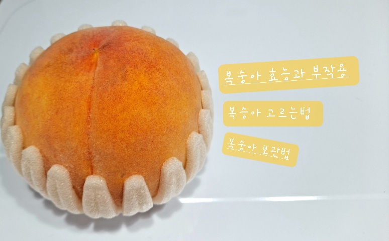 복숭아
