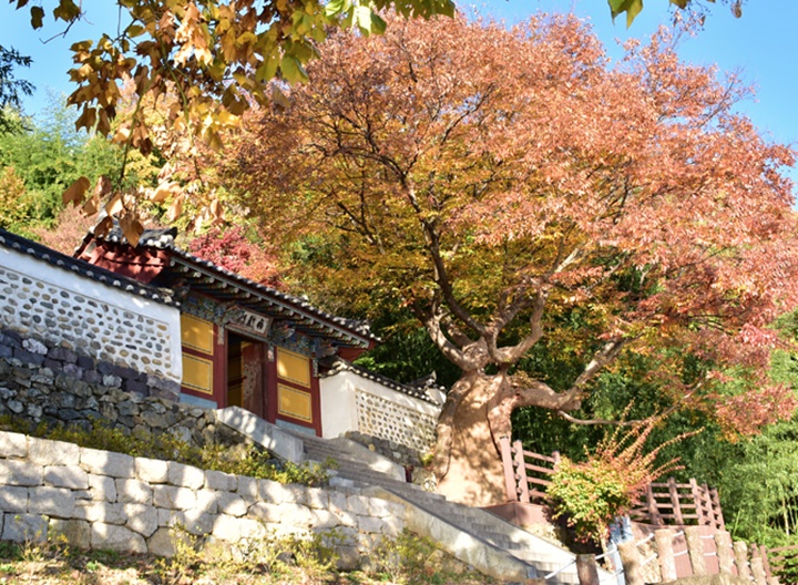 밀양 가볼만한곳