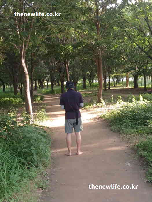 맨발걷기 효능 부작용 돌부리 조각
