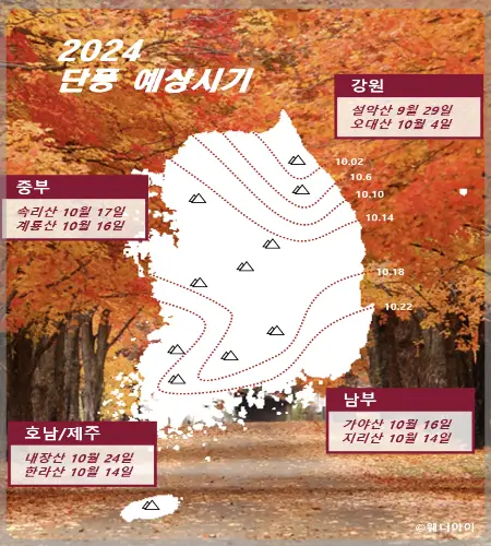 설악산 단풍, 절정 시기_1