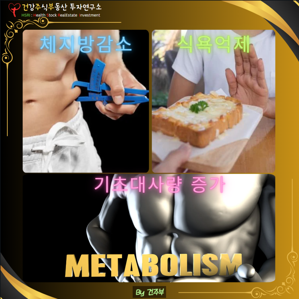 녹차 카테킨 효능과 부작용 그리고 섭취방법
(글 그림 : 건주부, 그림 출처 : Canva)