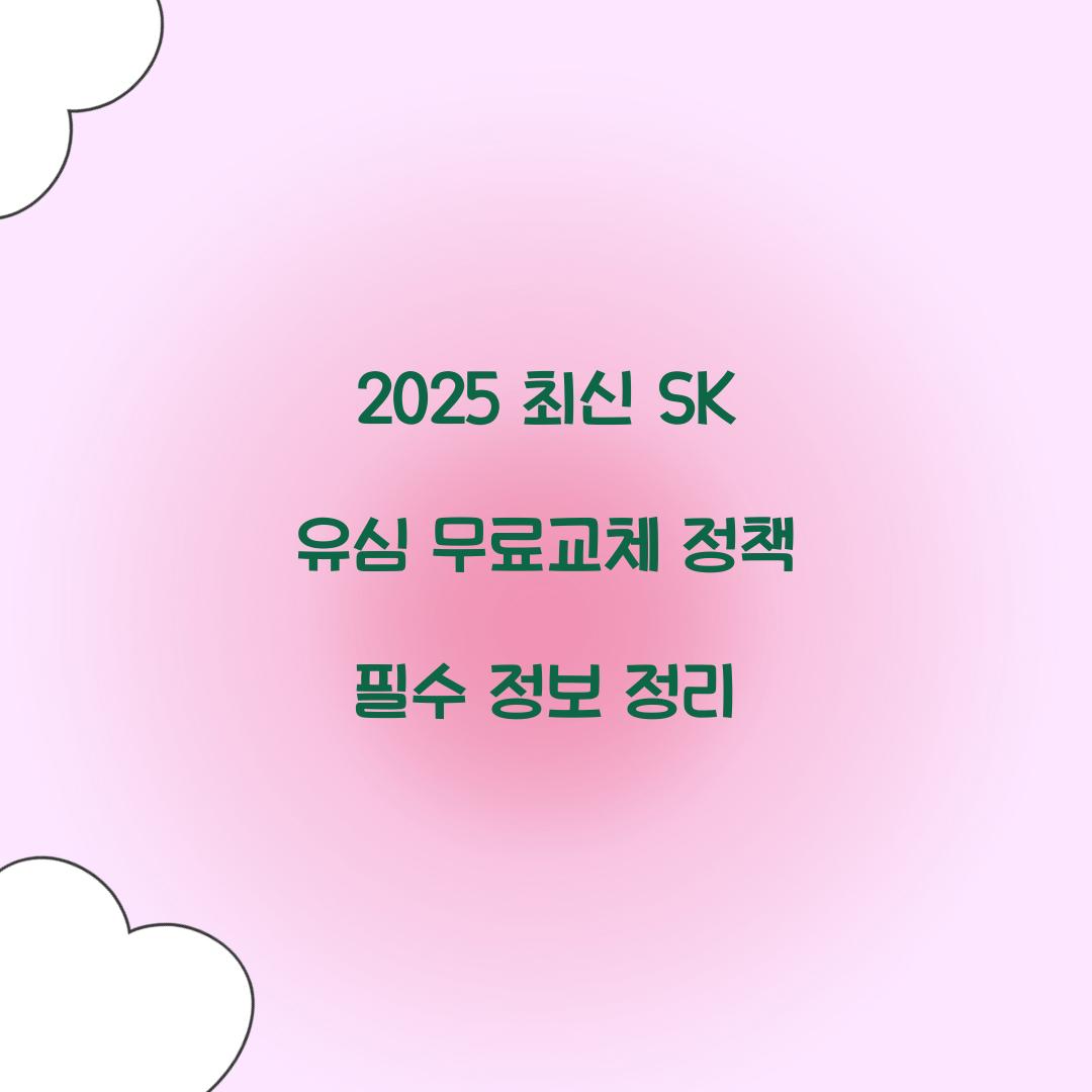 2025 최신 SK 유심 무료교체 정책