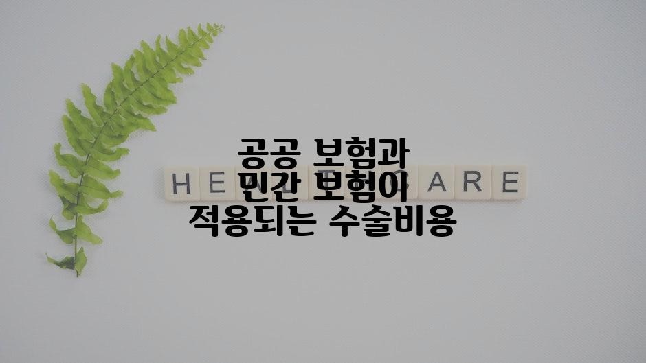 공공 보험과 민간 보험이 적용되는 수술비용