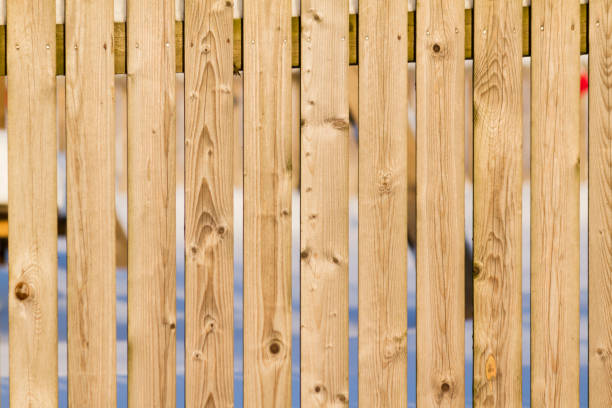 소프트우드 사진