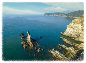 백령도