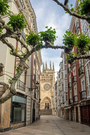 3월 해외 여행 추천 TOP5