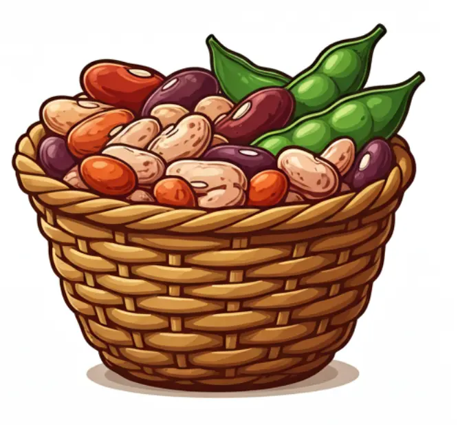 콩한되는-몇kg-2