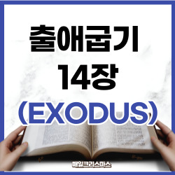 출애굽기 14장 1~31절 요약 [구약성경문제]