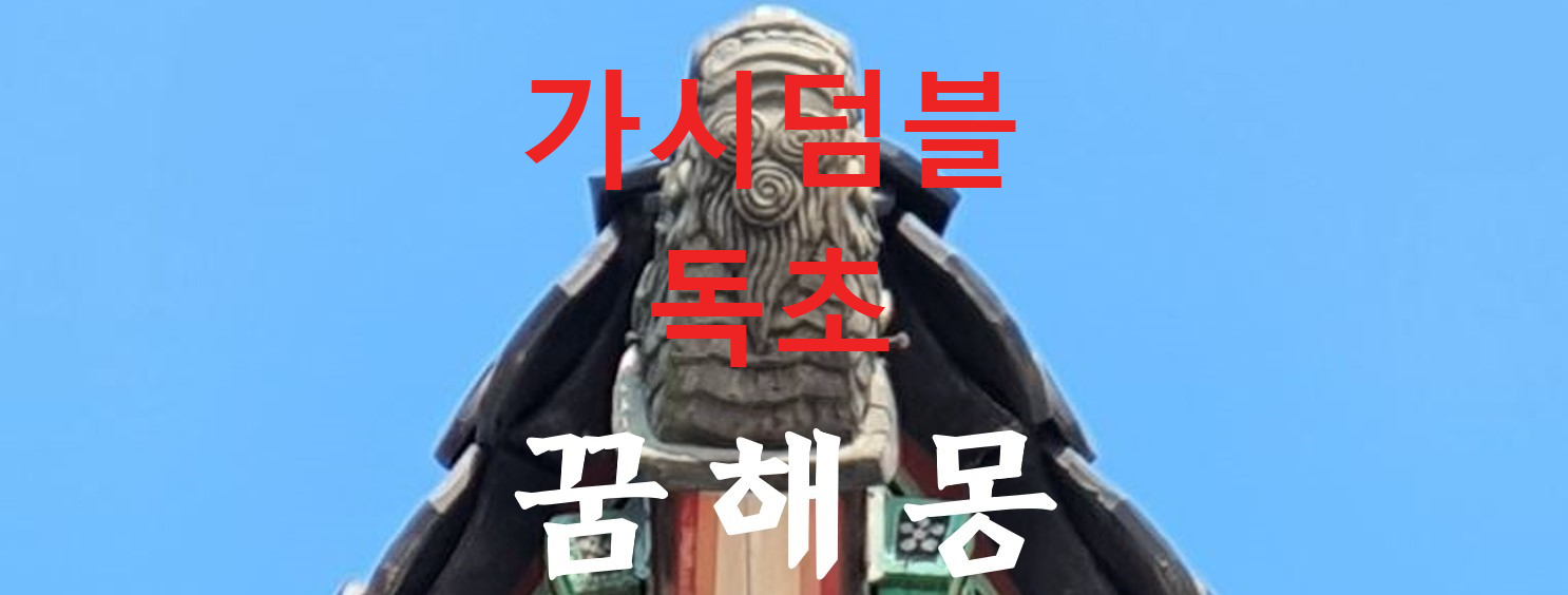 꿈해몽
