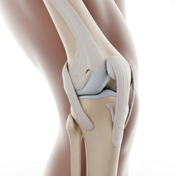 무릎 연골 손상 증상 자가진단1