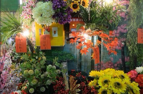 고양국제꽃박람회 2025! 일산 호수공원 개막일·입장료·주차 총정리